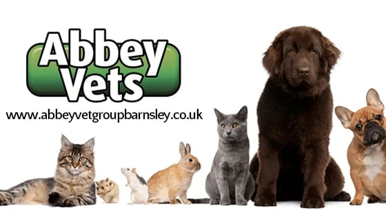 Abbey Vets