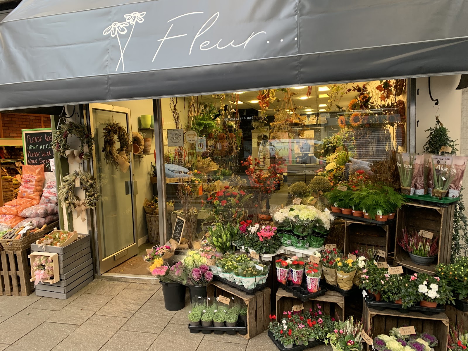 Fleur Florists