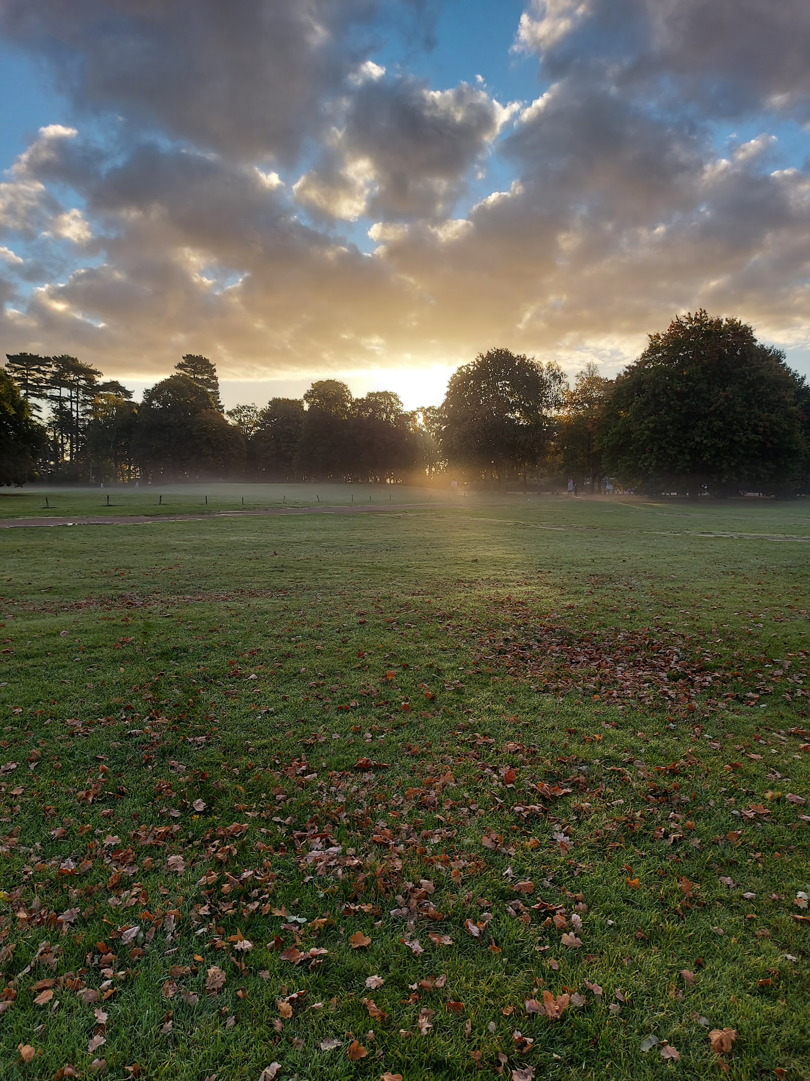 The Park, Elvaston Castle