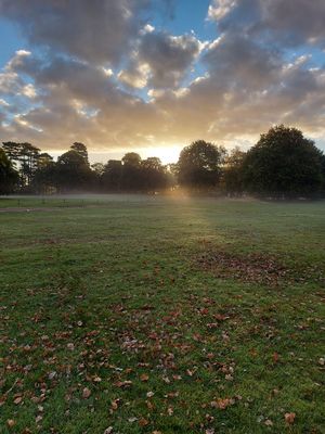 The Park, Elvaston Castle
