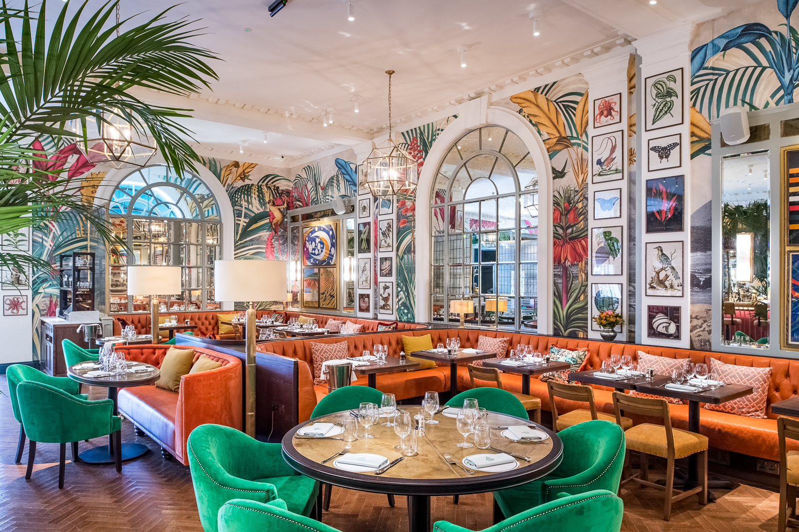 The Ivy In The Lanes