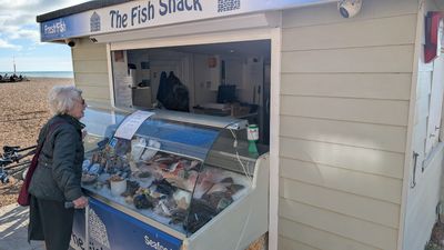 Fish Galore Fish Shack