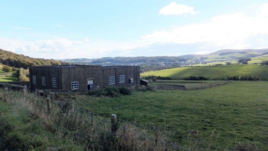 Nina Lubman Commercial Estate & Letting Agents