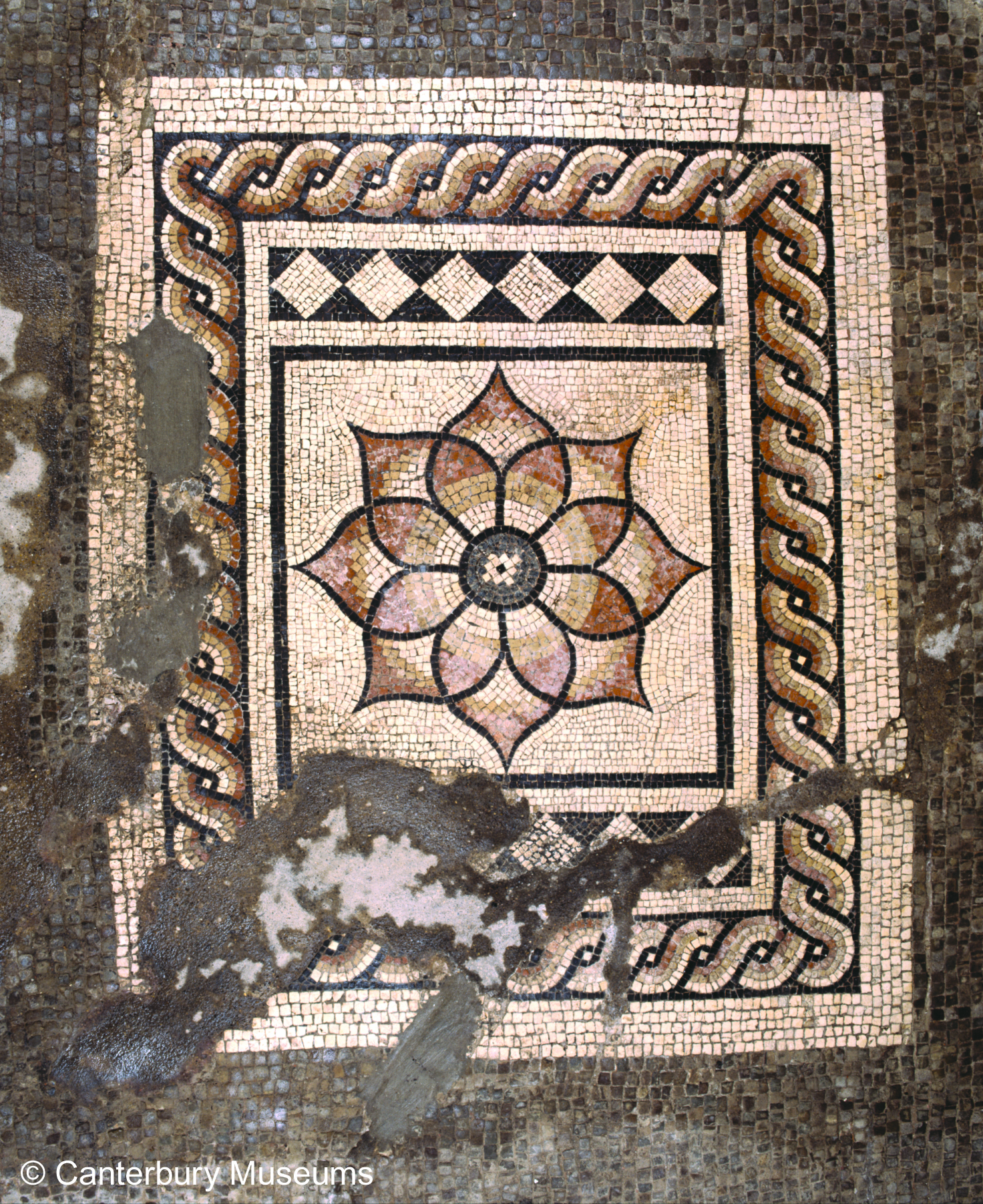 Canterbury Roman Museum