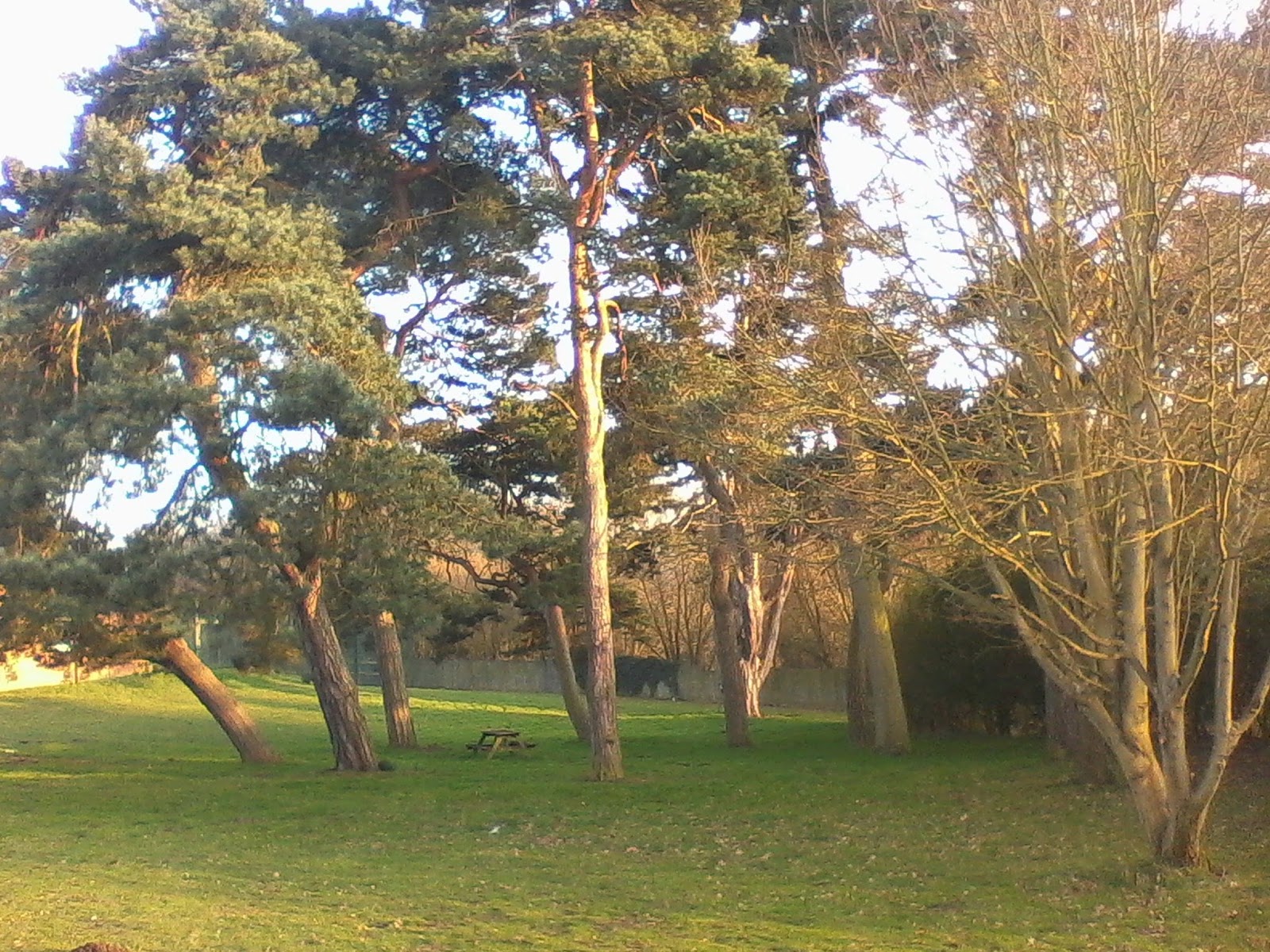 St Martin's Hospital