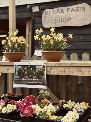 Blean Farm Shop