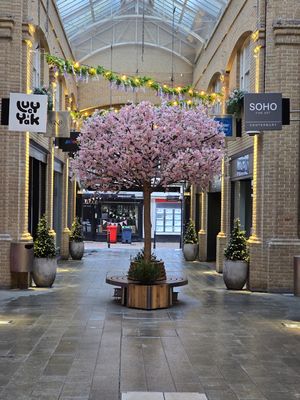 Whitefriars Canterbury