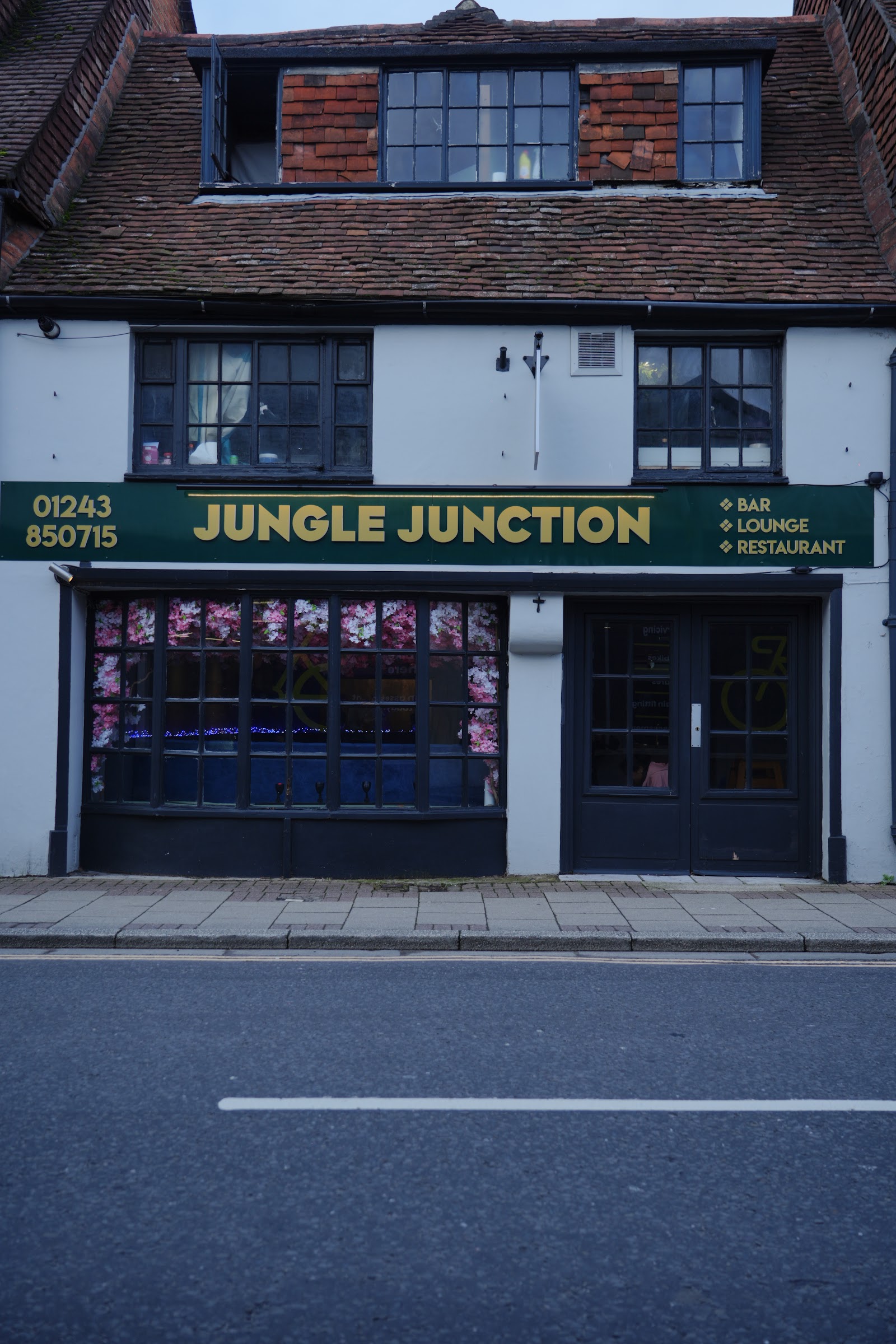 Jungle Junction