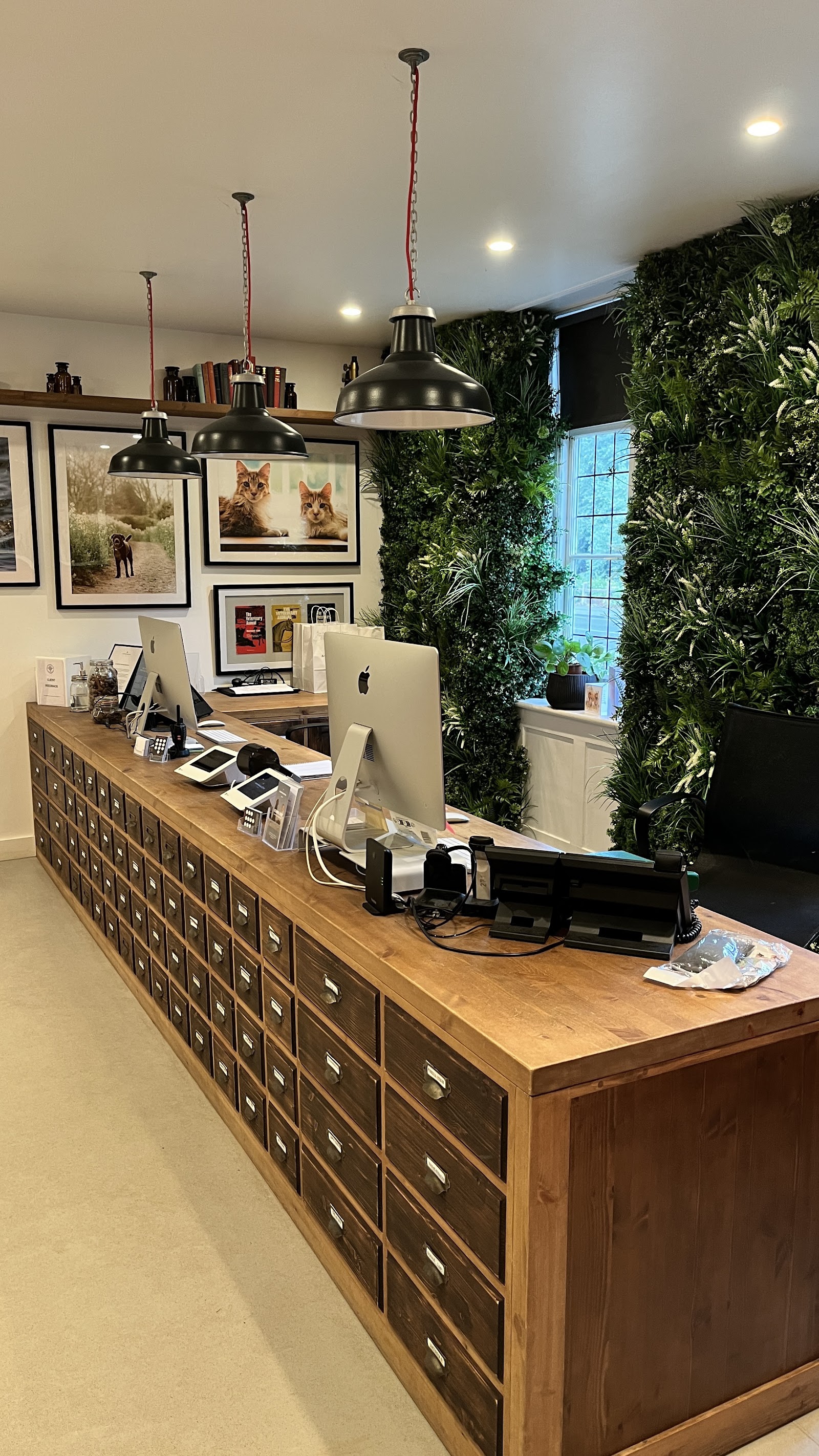 South Downs Emergency Vets Chichester