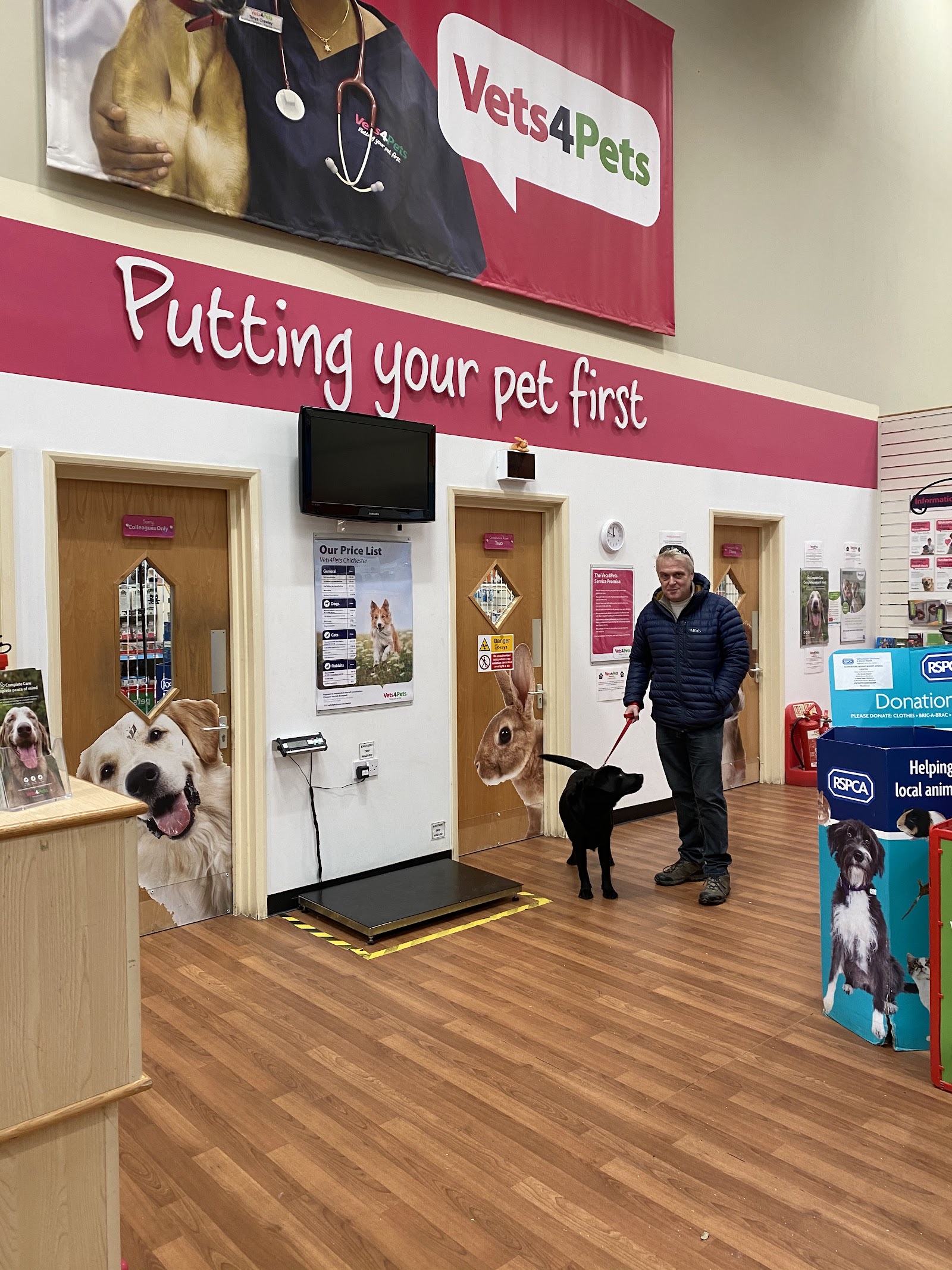 Vets4Pets - Chichester