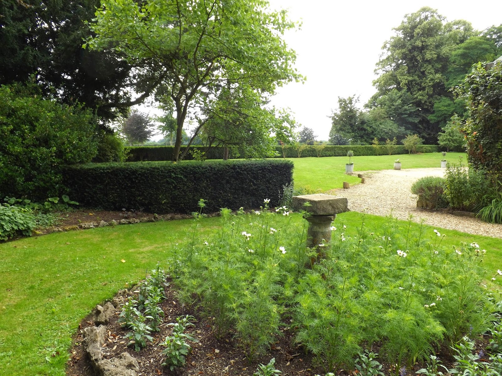 Graham Lawlor Plants & Gardens