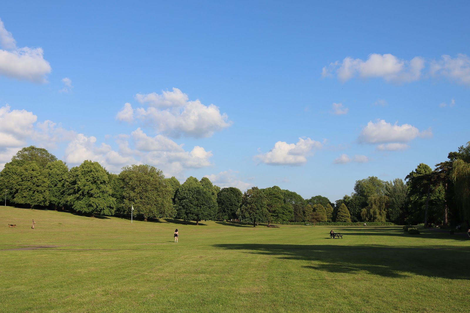 Monkton Park