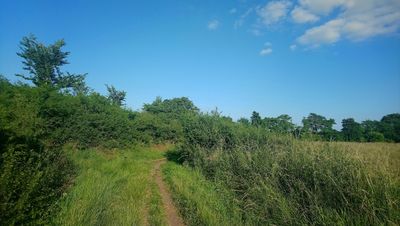Chippenham Park Tennis Club