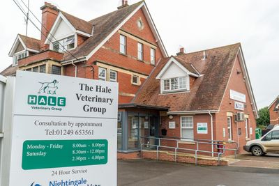 Hale Veterinary Group, Chippenham Hospital