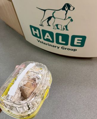 Nightingale Emergency Vets