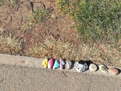 Pewsham Park Football & Climbing Frame