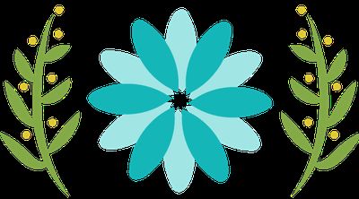 Puchi Cleaning Services Chippenham