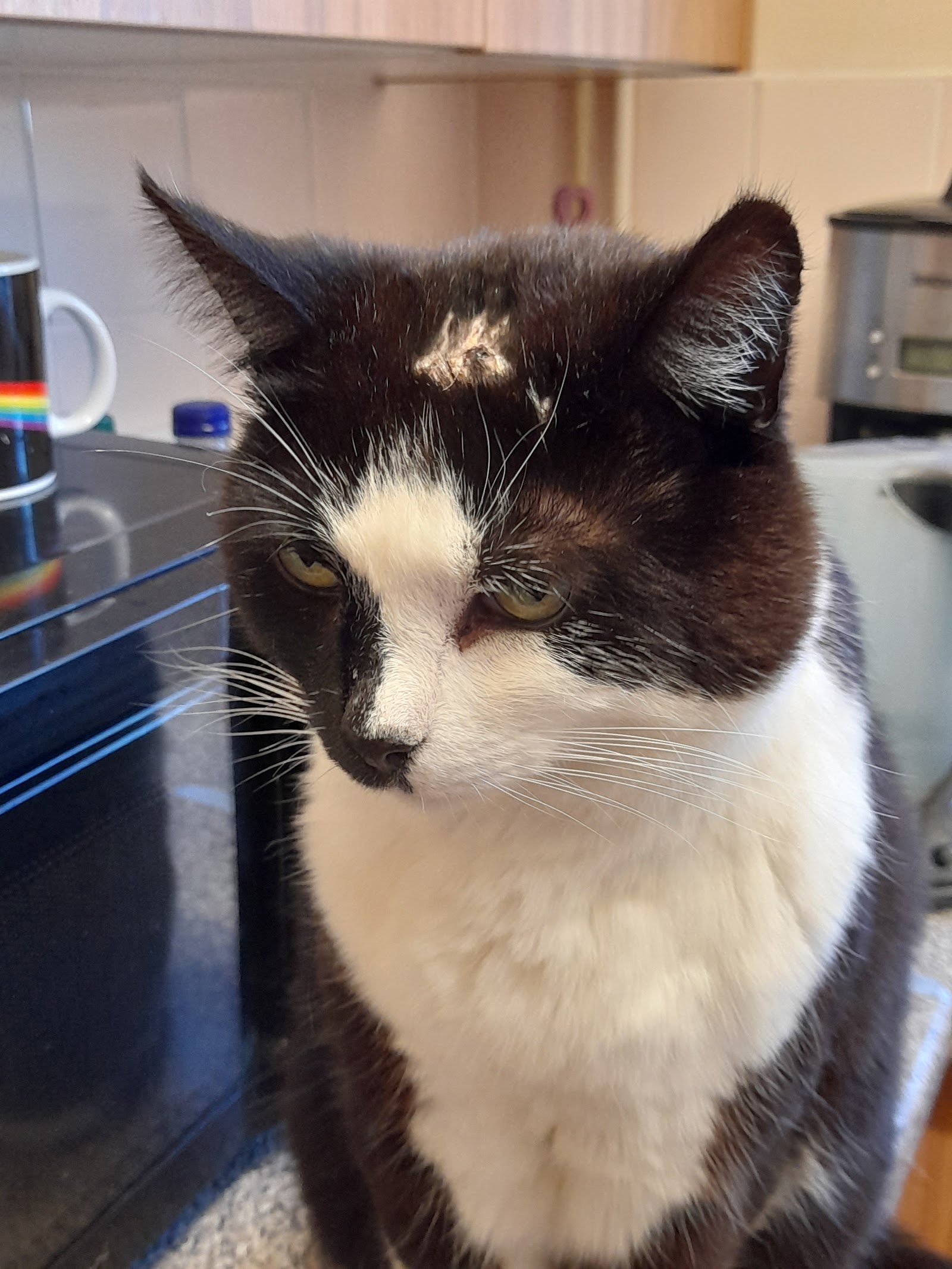 The Sidings Veterinary Surgery