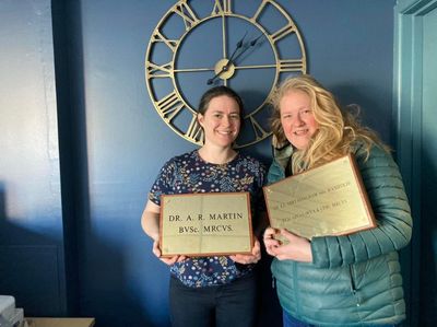 Martin and Manifold Vets