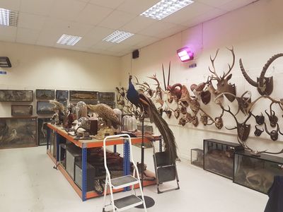 Moore Allen & Innocent