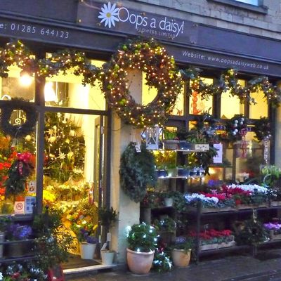 Oops a daisy! flowers limited