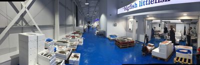 Big Fish Little Fish Manchester