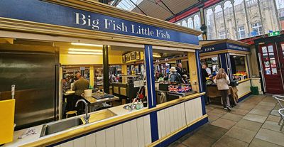 The big fish little fish co