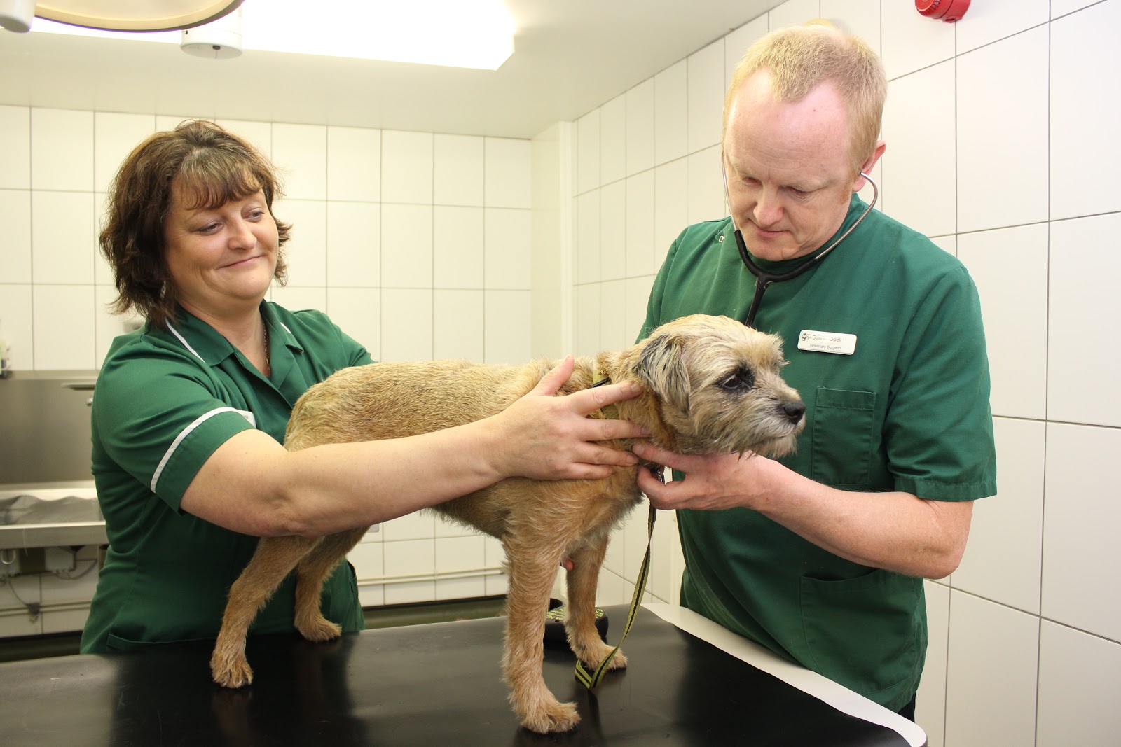 MacArthur Barstow & Gibbs - Droitwich Vets