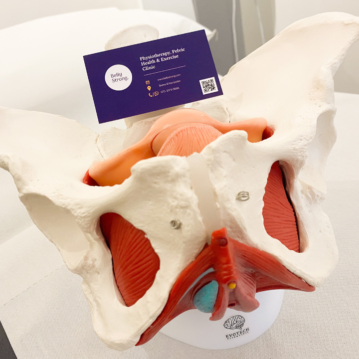 Belly Strong Physiotherapy