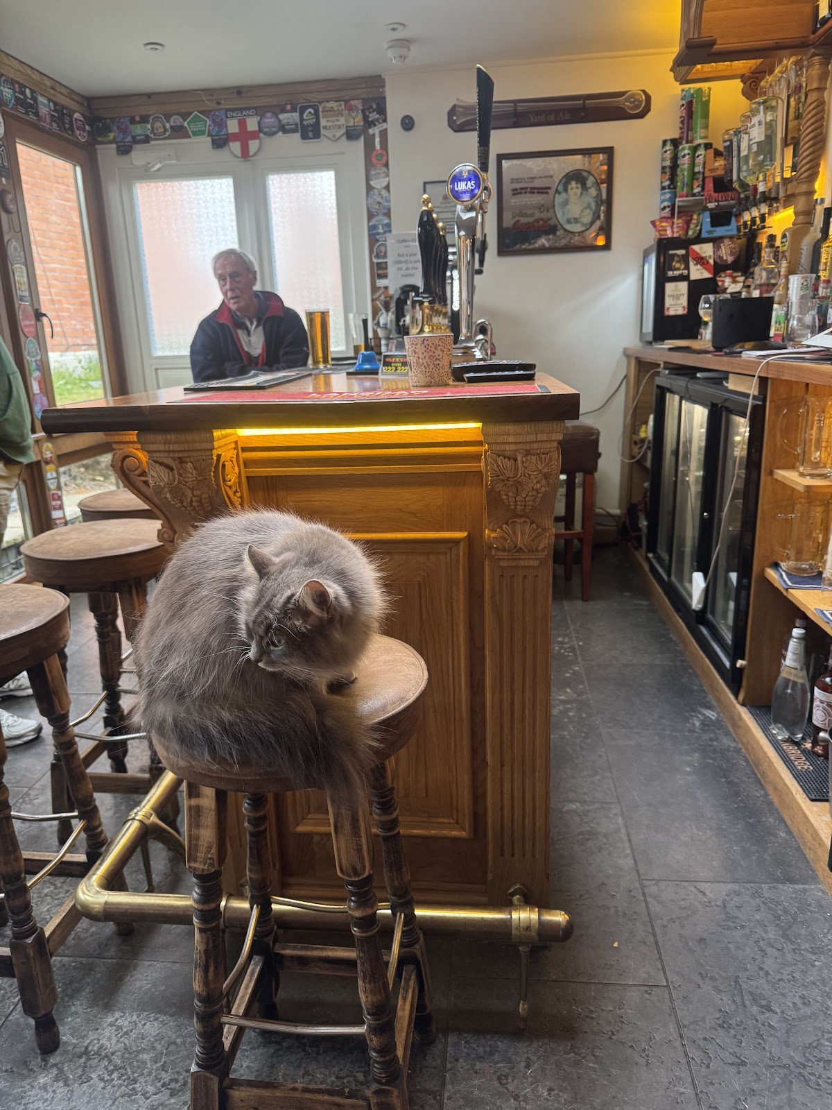 The Goat in the Garden