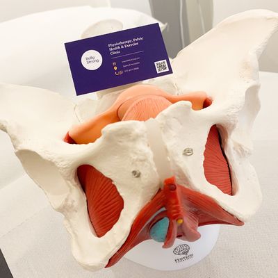 Belly Strong Physiotherapy