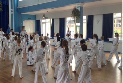 Swift Fox Taekwon-Do