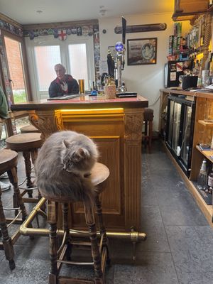 The Goat in the Garden