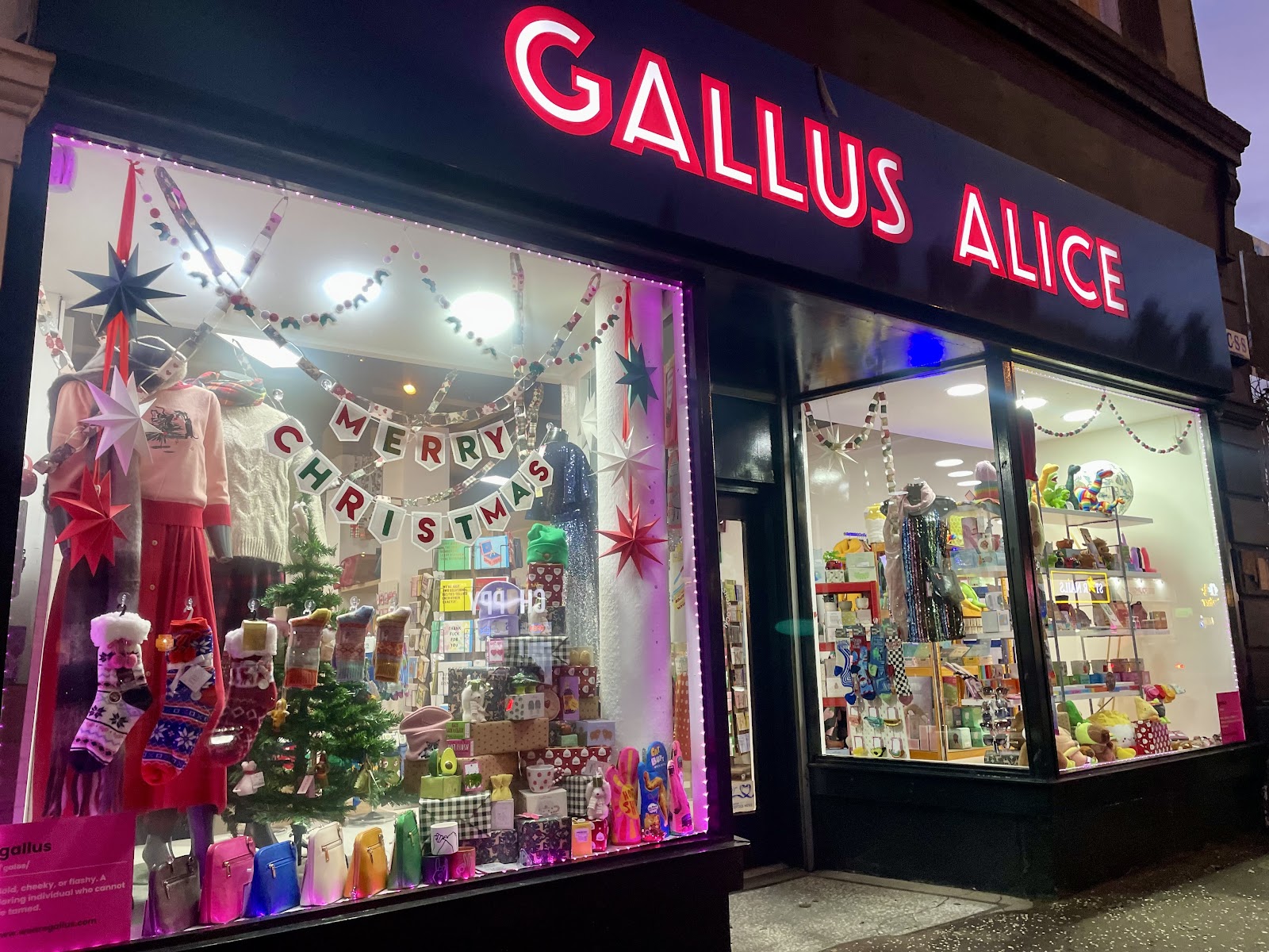 Gallus Alice