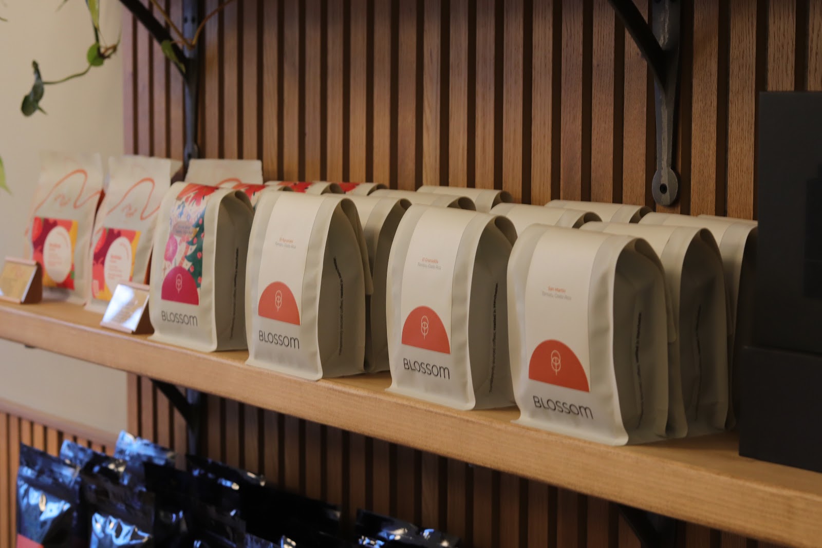 Kafei Studio by Space