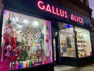 Gallus Alice