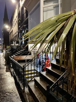 King Tut's Wah Wah Hut