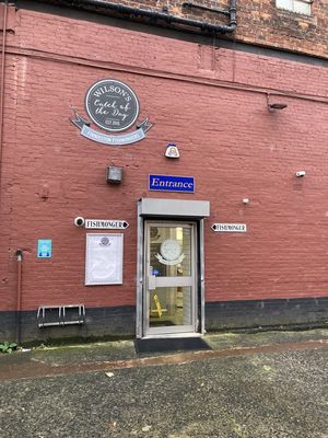 Wilson's Catch of the Day