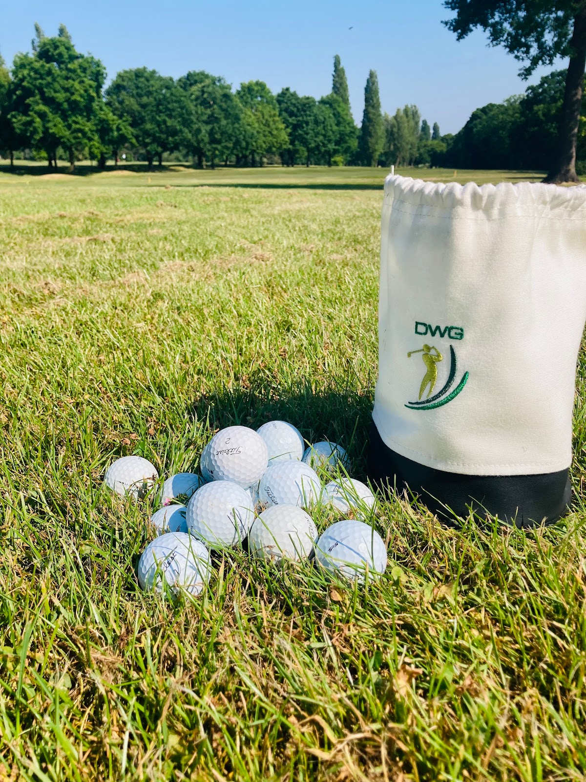 David Wilton Golf Coaching