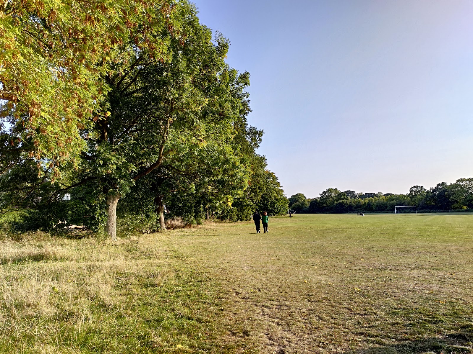 Hampstead Heath Extension Cricket Pitches
