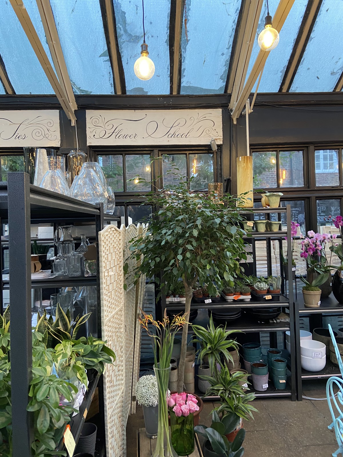 Temple Fortune Garden Centre