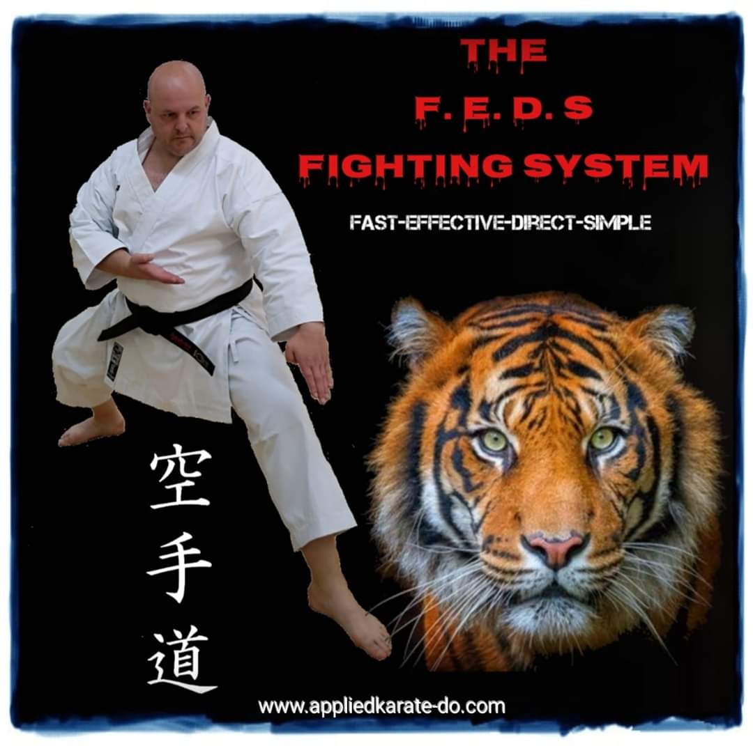 The Applied Karate - Do