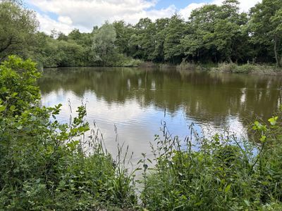 Darlands Nature Reserve