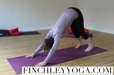 Finchley Yoga