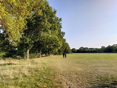 Hampstead Heath Extension Cricket Pitches
