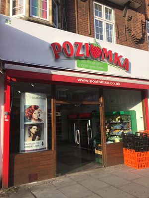 Poziomka LTD