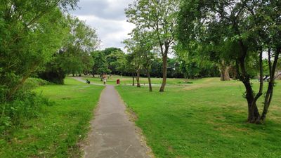 Swan Lane Open Space
