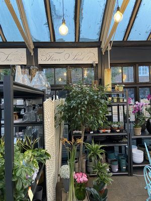 Temple Fortune Garden Centre