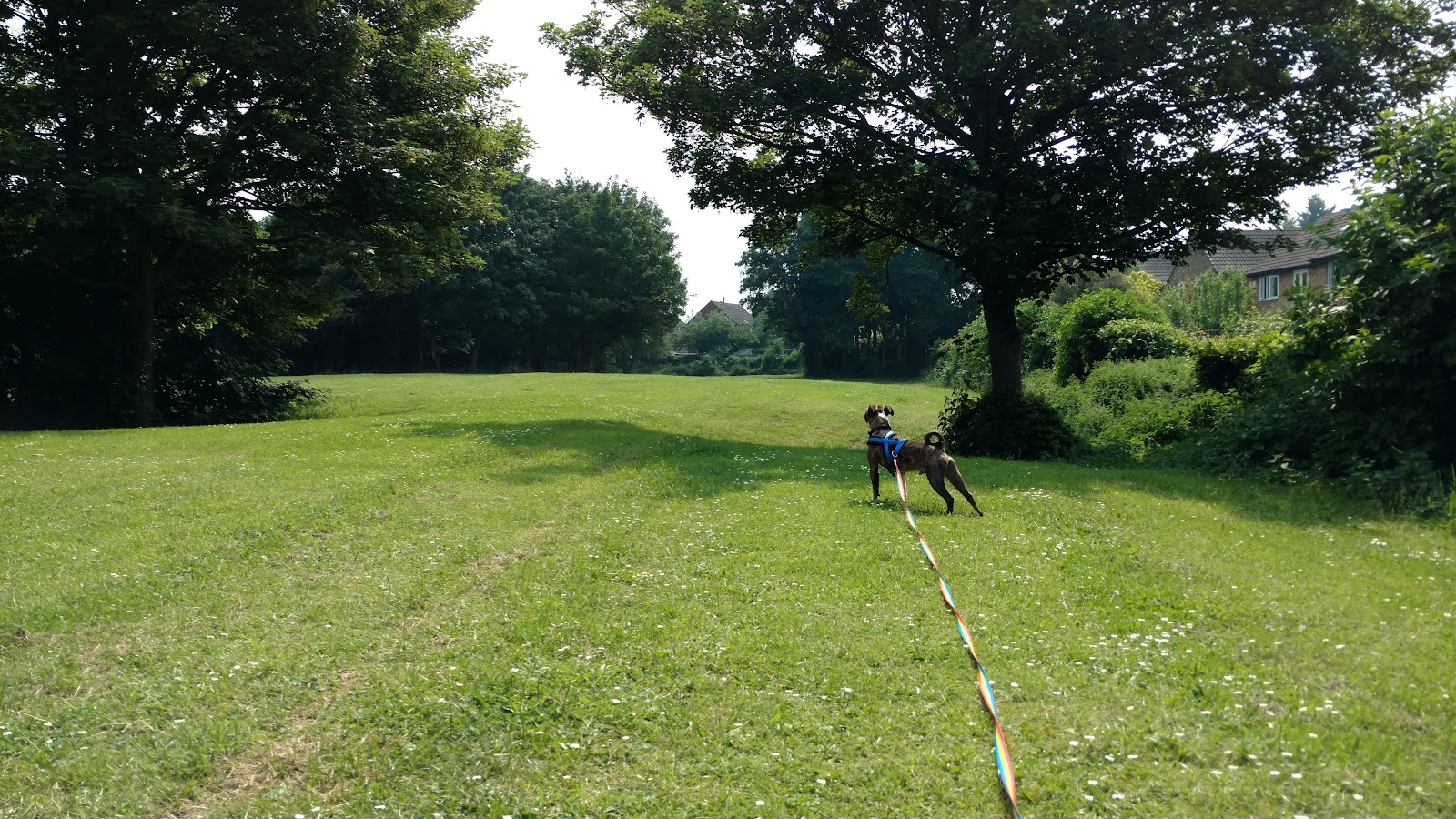 The Sandpipers Open Space
