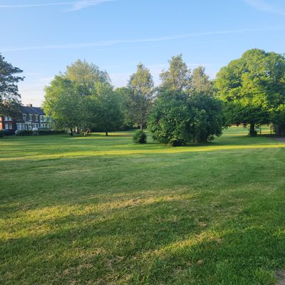 Dashwood Open Space